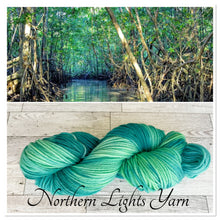 Load image into Gallery viewer, Mangrove Luxury Hand Dyed Wool Yarn