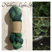 Load image into Gallery viewer, Lichen hand dyed luxury wool yarn