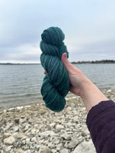 Load image into Gallery viewer, Spruce hand dyed luxury wool yarn