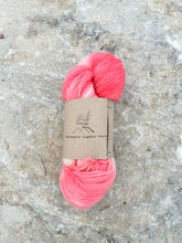 Load image into Gallery viewer, Glasswing Luxury Hand-Dyed Wool Yarn