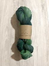 Load image into Gallery viewer, Lichen hand dyed luxury wool yarn