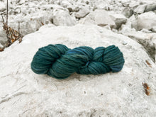 Load image into Gallery viewer, Spruce hand dyed luxury wool yarn