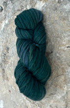 Load image into Gallery viewer, Spruce hand dyed luxury wool yarn