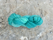 Load image into Gallery viewer, Blue Agave Luxury Hand-Dyed Wool Yarn