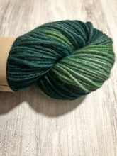 Load image into Gallery viewer, Lichen hand dyed luxury wool yarn