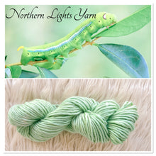 Load image into Gallery viewer, Caterpillar Luxury Hand-Dyed Wool Yarn